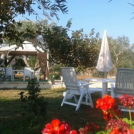 Annalaura Galatone